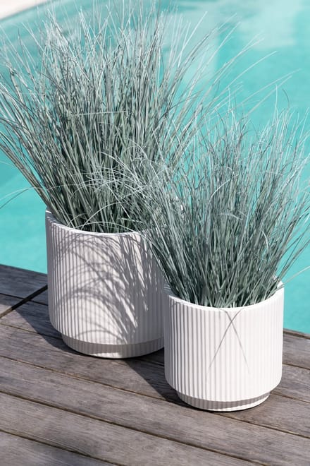 J-Line gras In Pot - metaal/kunststof - blauw/groen - medium