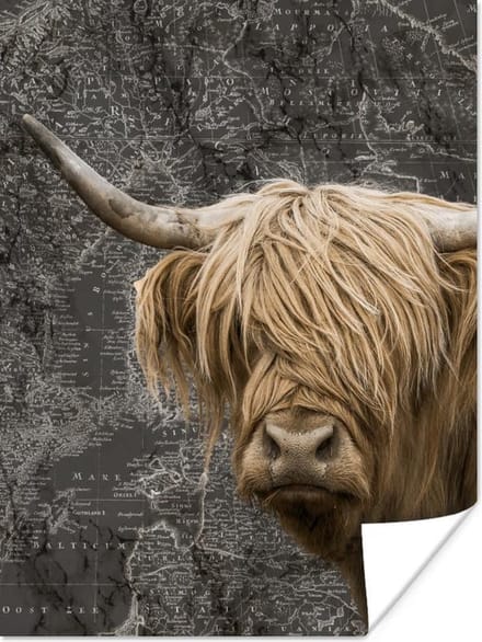 Wereldkaarten - Schotse hooglander - Wereldkaart - Dieren - 60x80 cm