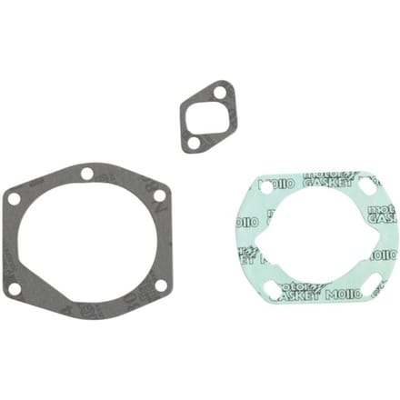 Remschijf SEMC Bmw 276 R850 R1100 R1150 K1200