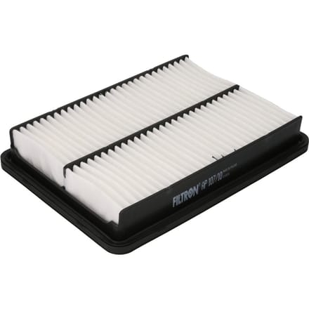 Luchtfilter FILTRON AP107/10