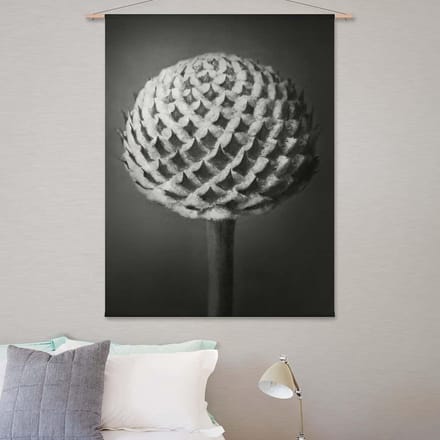 Wandkleed-XL Kleine kaardebol - Karl Blossfeldt