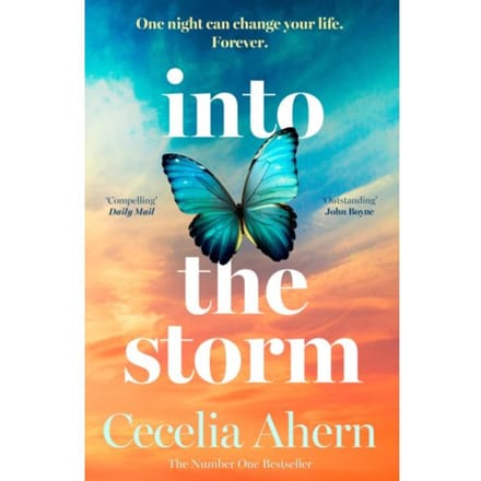 Into The Storm - Cecelia Ahern