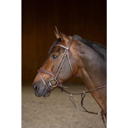 Anatomisch hoofdstel HFI Padded