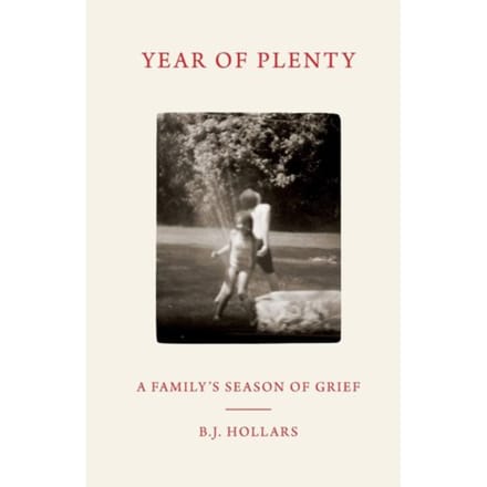 Year Of Plenty - Hollars, B. J.