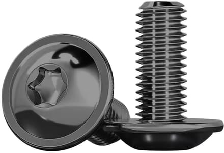 Platte kopschroeven - Kraagschroeven Torx - Machinebevestiging - Roestvrij staal A2 - M4 x 16 mm - Zwart
