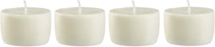 Blomus Frable refill set van 4 D5cm agave