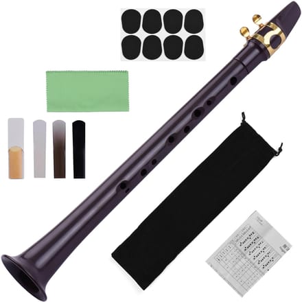 11-holes C Key Mini Pocket Saxofoon ABS met Alto Mondstuk Ligatuur 4 stuks Riet 8 stuks Tandheelkundige Pads black