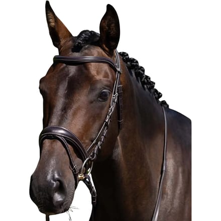 Teugels voor paard Premier Equine Cassano