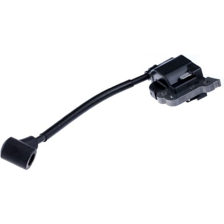Ignition module