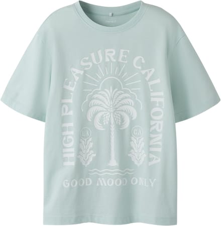 NAME IT - NKMPJARVU SS NREG TOP BOX - Jongens - T-shirts