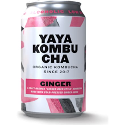 Kombucha ginger