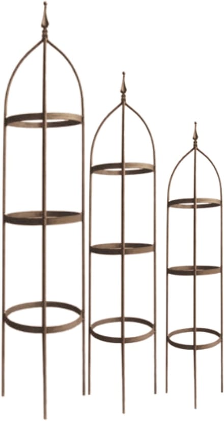 Deco4yourhome® - Plantenstandaards - Klimplantenrek - Plantenrek - set van 3 - Rusty