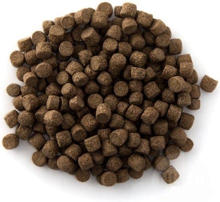 coppens koivoer grower astax 15 Kg, 6 mm