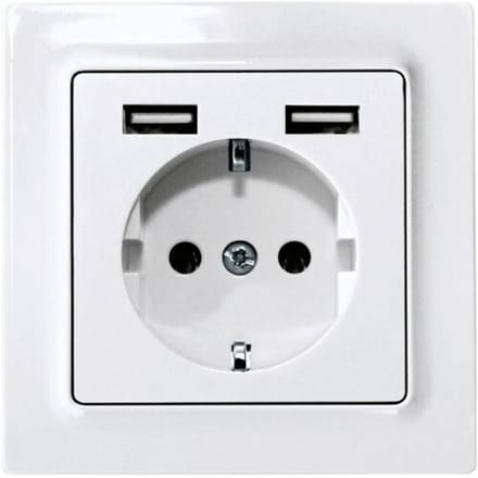 Eltako DSS55E+2xUSBA-pm Stopcontact Inbouw (in muur), Schroefbevestiging