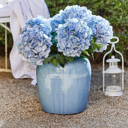 LOBERON Vaas Uxemir blauw