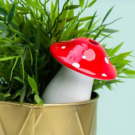Gift Republic Paddenstoel Planten Waterdruppelaar