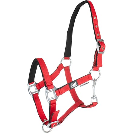Halsband voor veulen met dubbele afstelling Supreme