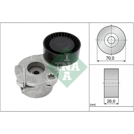 Schaeffler Ina Riemspanner, Poly V-riem INA 534 0630 10