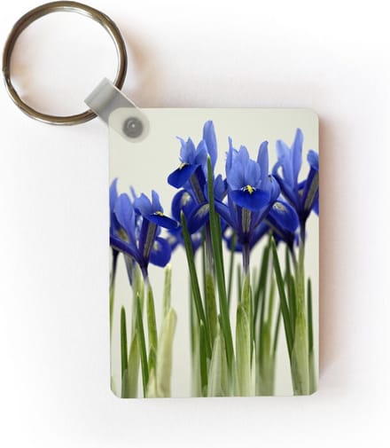 Sleutelhanger - Groep blauwe Irissen - Uitdeelcadeautjes - Plastic