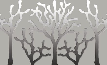 Tree Abstract Photo Wallcovering
