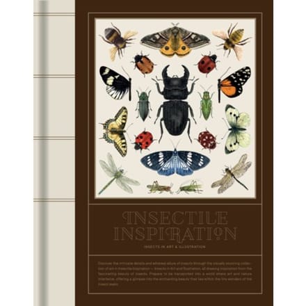 Insectile Inspiration: Insects In Art And Illustration