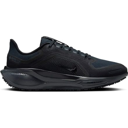 Hardloopschoenen voor dames Nike Pegasus 41 GORE-TEX