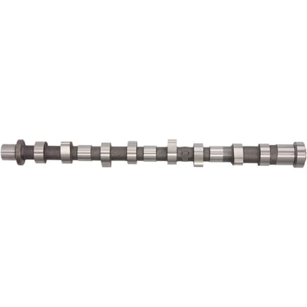 Nokkenas  AE CAM942