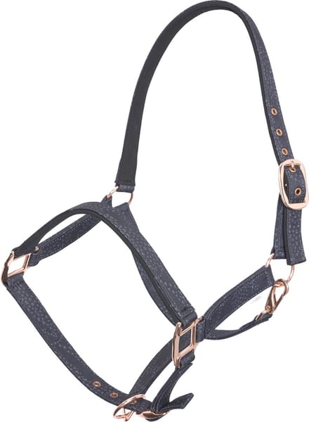 Imperial Riding - Halster Flower Bomb - Black Zebra - Maat Pony