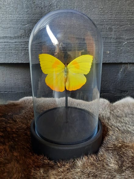 Stolp met vlinder - geel