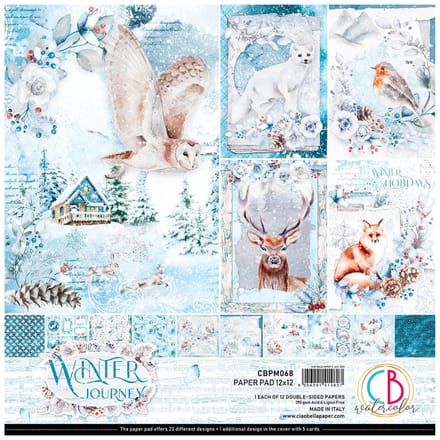 Scrapbook papier "Winter Journey"