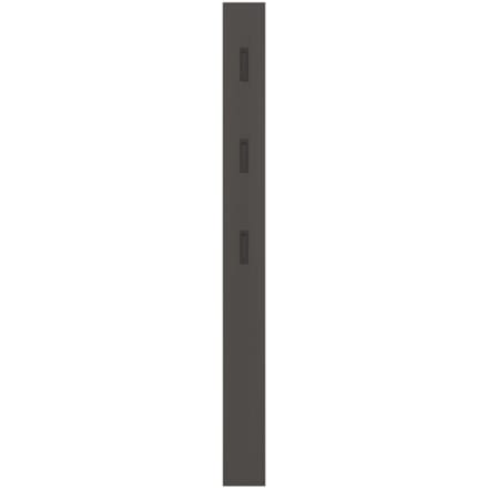 Garderobepaneel, MDF met melamineharscoating, 3 uitklapbare haken, ca. B 150 x D 30 x H 1700 mm, grafiet