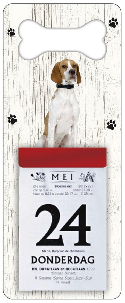 Scheurkalender 2027 Hond: Pointer