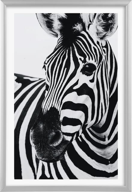 Goldbuch - Fotolijst Alluminio - Zilver - 20x30 cm