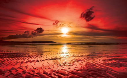 Poster | Rood | 104 x 70,5 cm