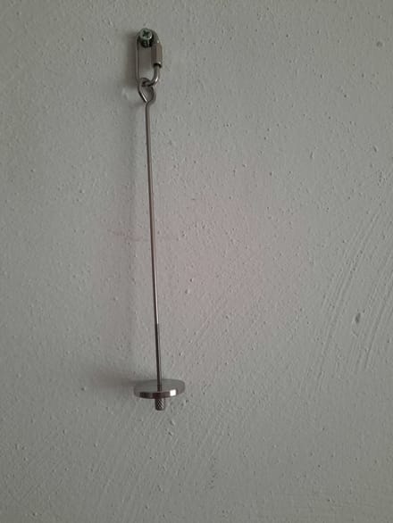 fruit pin