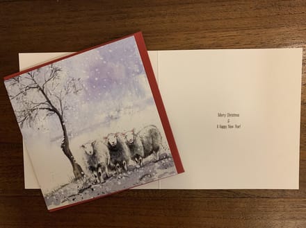 Alex Clark Kerstkaarten Schapen ~ Winter Flock