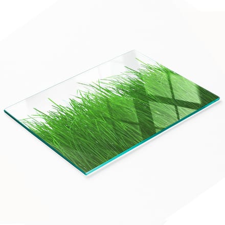 Decoratieve glazen serveerplank met afbeelding van gras voor het serveren van snacks, 80x52 cm