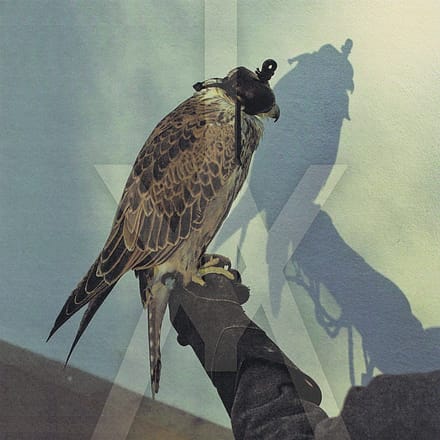 You re Nothing - Iceage