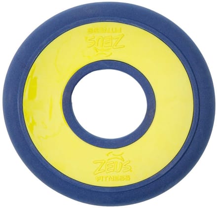 Zeus Fitness Fetch Disc
