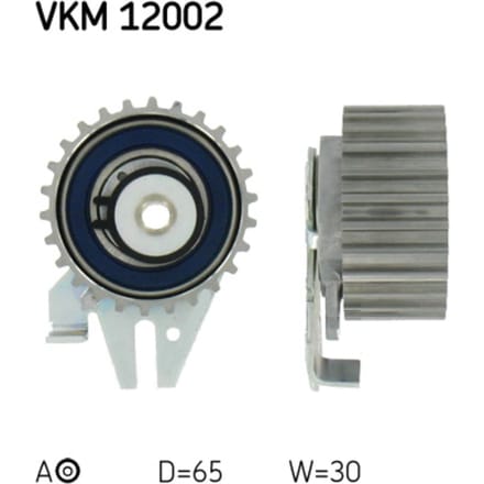 Tandriempoelie SKF VKM 12002