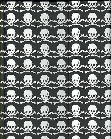 Peter Pauper Magnetic notitieboek - Skull - crossbones - 16x21 cm