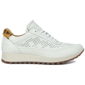 Sneakers Kangaroos 37839