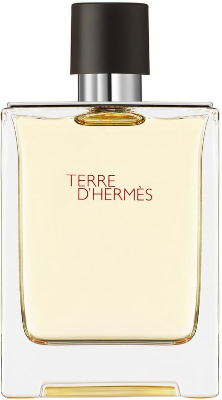 Hermes Terre d'Hermes 100 ml - Eau de Toilette - Herenparfum