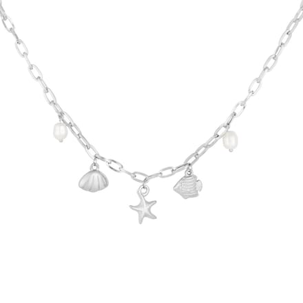 Beachy Glow Ketting | RVS (verkleurt niet) | Zilverkleurig