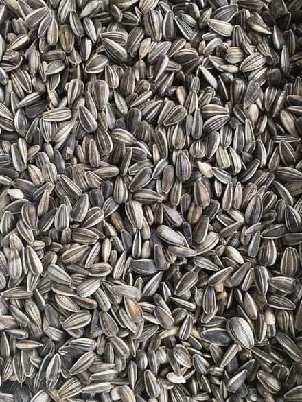 Heinrichs Agrar Zonnebloempitten gestreept, vogelvoer, 25 kg