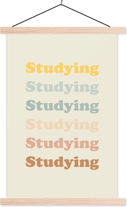 Posterhanger incl. Poster 40x60 cm - Schoolplaat - Quotes - Studeren - Student - Textielposter - Blanke latten