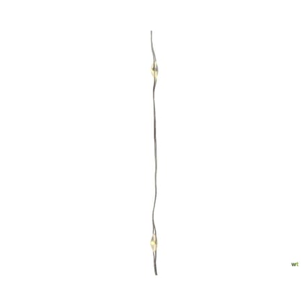 Lumineo Draadverlichting - micro - 60 lampjes - LED - warm wit - 295 cm - kerstverlichting