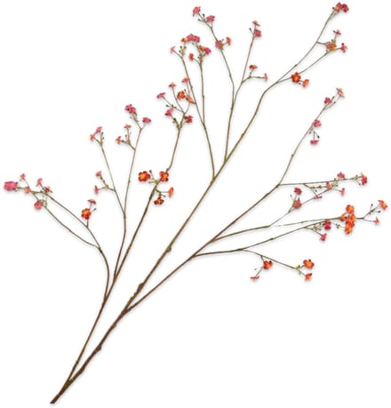 Vergeetmeniet tak rood/oranje 132 cm
