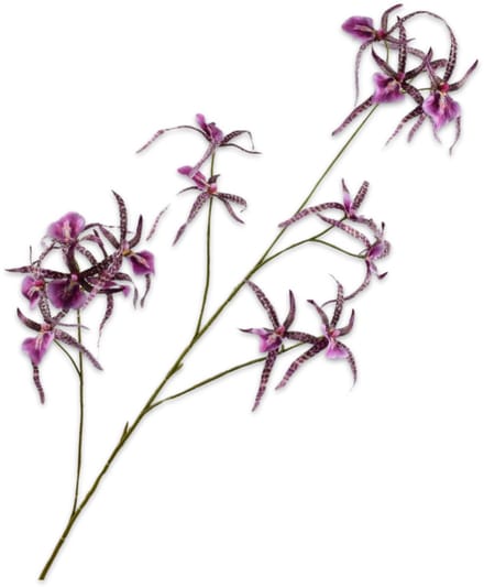 Silk-ka Kunstbloem-Zijden Bloem Orchidee Tak Paars-Roze 108 cm