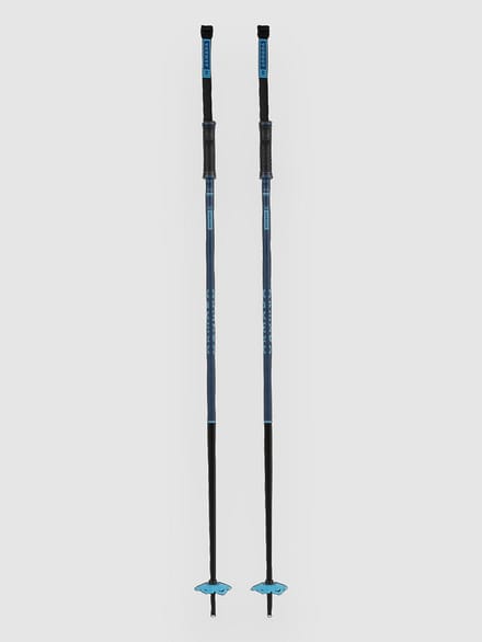 Armada Legion Ski Stokken blauw